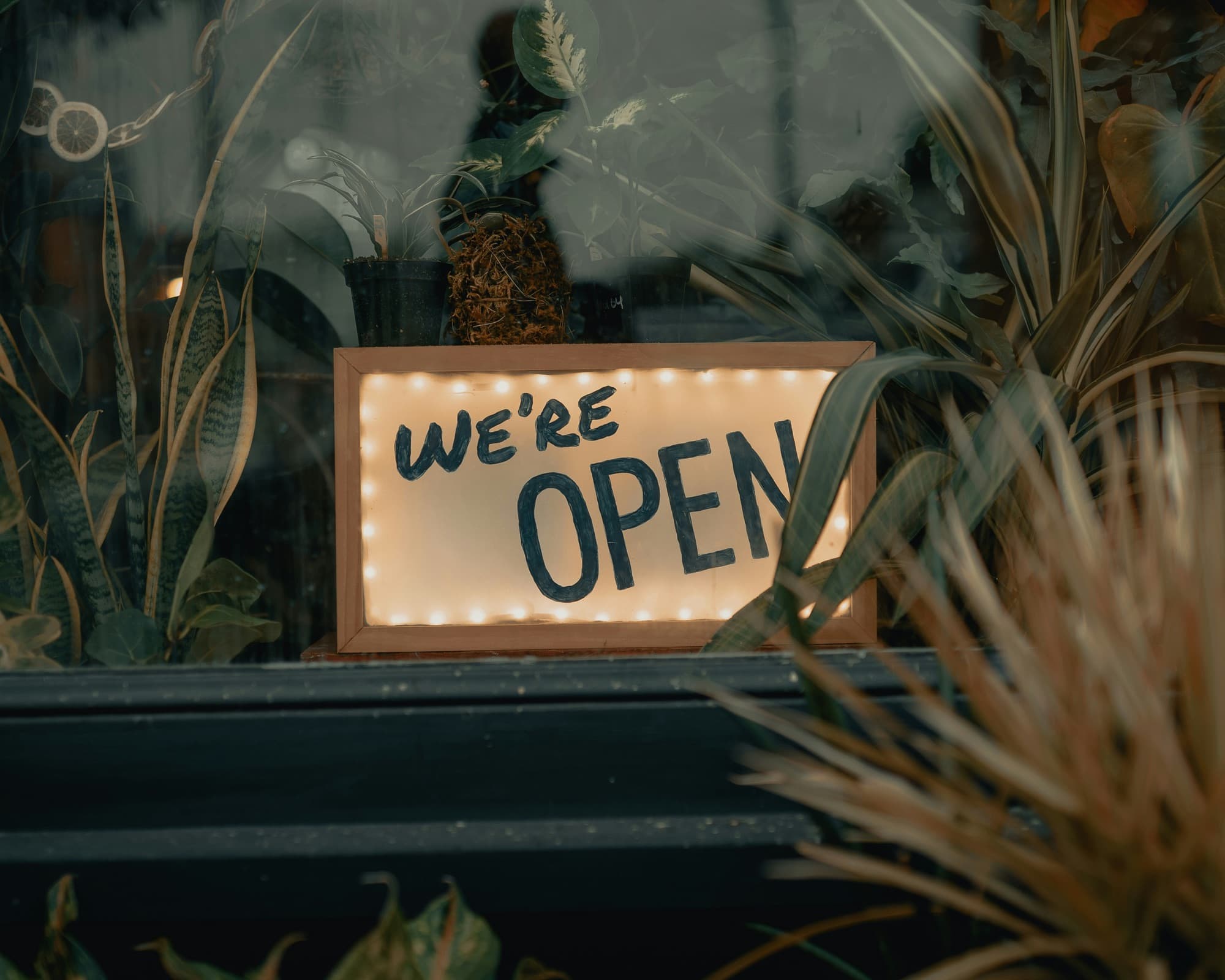 An illuminated hand-lettered “We’re Open” sign in a plant-filled shop window at dusk.
